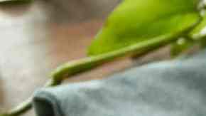 Steak and kidney pie