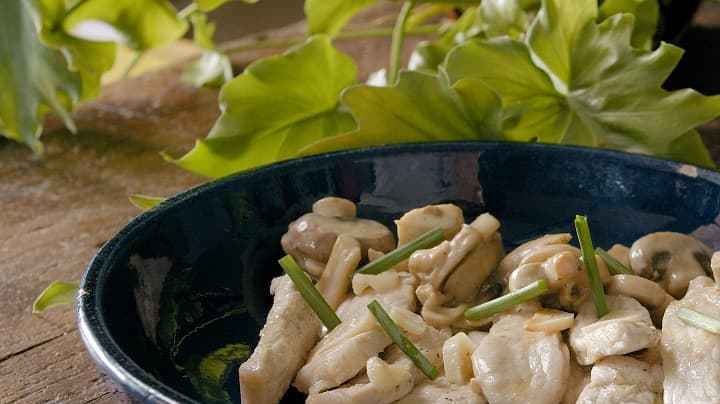 Tiradito de cerdo en salsa de hongos