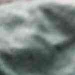 Trigueros con jamón y lingote de patata