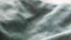 Trigueros con jamón y lingote de patata