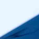 berenjenas rellenas de atún