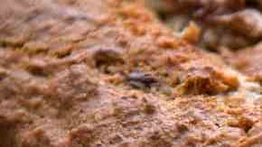 bizcocho de plátano