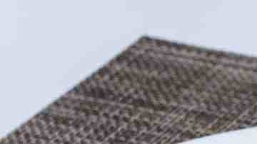 calabacines rebozados