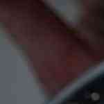 carrillera con setas