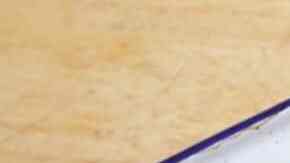 coliflor con bechamel