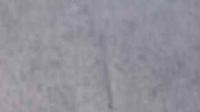 confit de pato asado