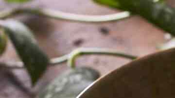 Granizado de Sandía con Chocolate