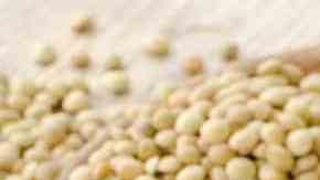 deliciosas lentejas con tocino