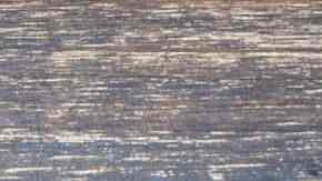 lombarda con manzana