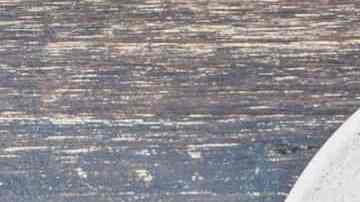 lombarda con manzana