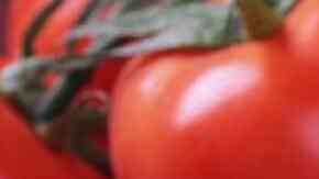 macarrones a la carbonara