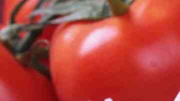 macarrones a la carbonara