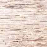 melocotones rellenos