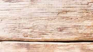 melocotones rellenos