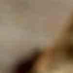 mondonguilles a la catalana