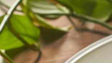 tacitas de lechuga con pollo a la miel