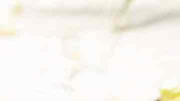 Salmón con salsa de aguacate