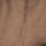 sándwich de pollo empanado