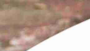 Alitas de pollo al vino