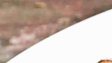 Alitas de pollo al vino