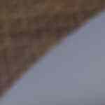 churrasco de cerdo al horno