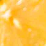 plato de sopa de verduras con arroz