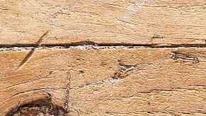 tortilla de patatas con huevo y picada de ajo