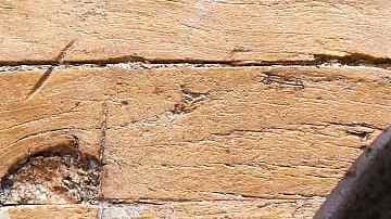 tortilla de patatas con huevo y picada de ajo