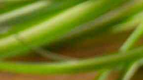 Tostadas francesas con frutos rojos