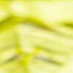 calabazas de arroz inflado