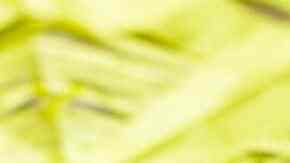 calabazas de arroz inflado