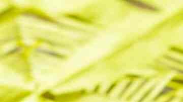 calabazas de arroz inflado