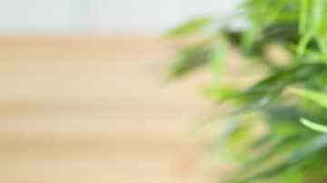 Alcapurrias fritura típica de Puerto Rico