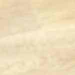 Calabacitas con carne cerdo