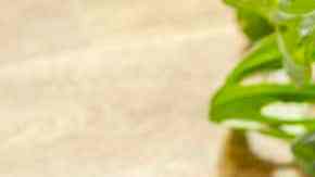 Calabacitas con carne cerdo