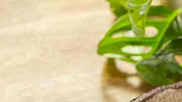 Calabacitas con carne cerdo