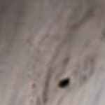 Carato de mango verde