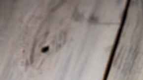 Carato de mango verde