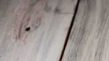 Carato de mango verde