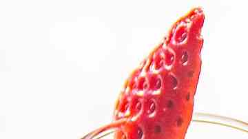 Dos refrescantes bebidas con champagne