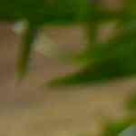 2 snack para fiestas