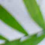 Ensalada de frutas romántica