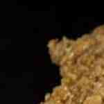 Guacamayas mexicanas