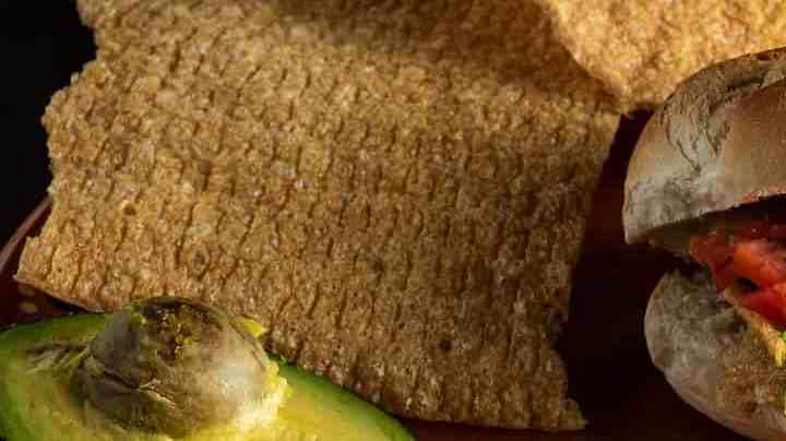 Guacamayas mexicanas