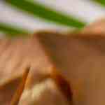 Guacamole con cubos de queso mozzarella