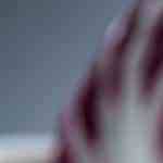 Pan de hamburguesa integral