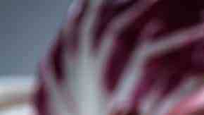 Pan de hamburguesa integral