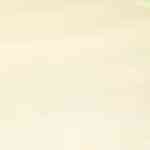 filete de res con salsa de champiñones