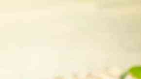 filete de res con salsa de champiñones