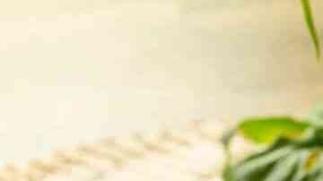 filete de res con salsa de champiñones